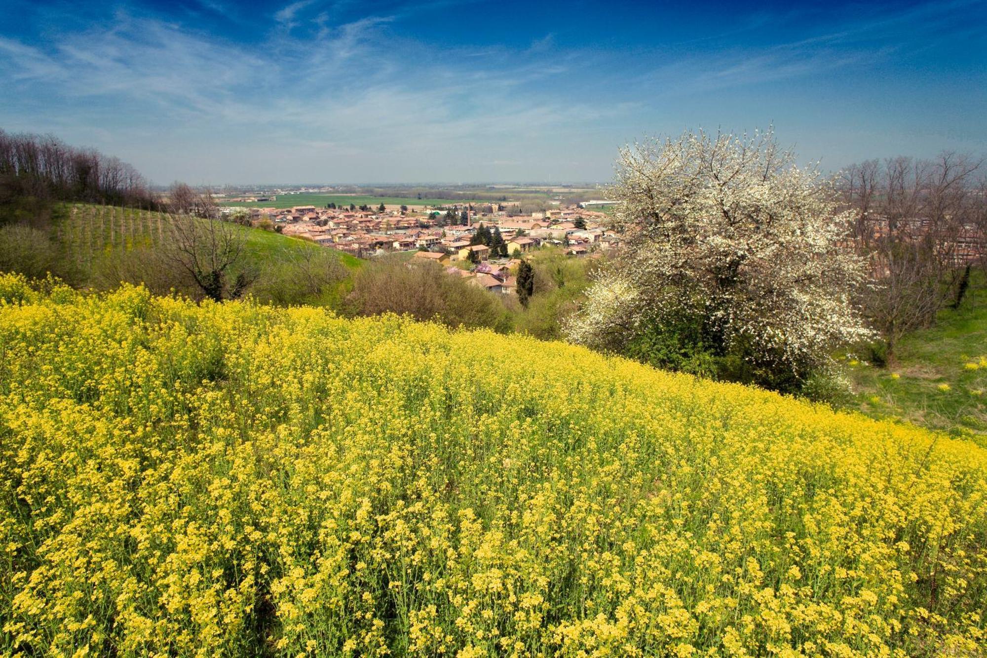 Bed&Breakfast Sforza 19 San Colombano al Lambro Zewnętrze zdjęcie